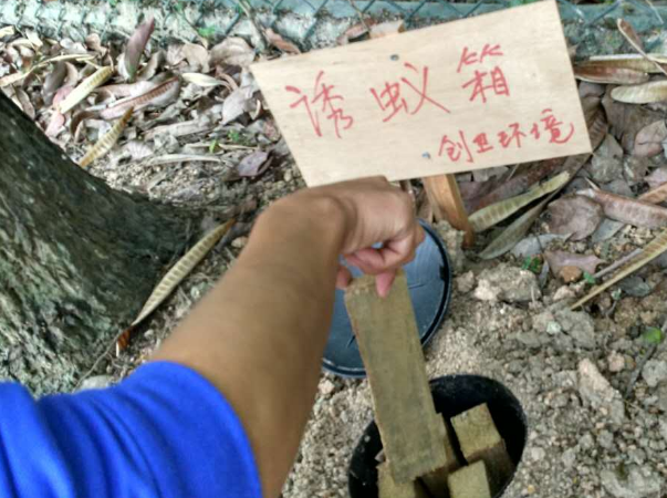 白蟻防治工